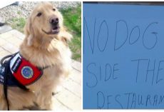 Restaurant Owner Refuses Service Dogs Entrance To His Restaurant And He’s Getting Away With It