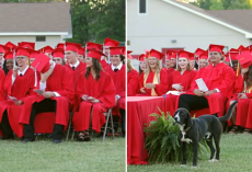 Grads Burst Out With Laughter As Dog Steals The Show During Ceremony
