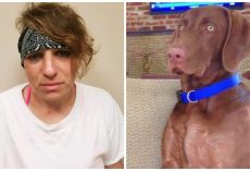 Woman Abandons Truck She Carjacked And Locks Dog In Scorching Heat Inside