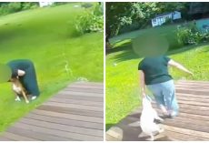 Pet Sitter Caught Hurting Pups In Her Care, Busted On Surveillance Video