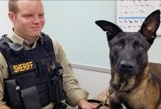 K9 Rejoins His Worried Handler After He Was Spooked By Fireworks & Went Missing