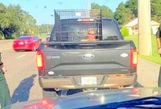 Woman Locks Grown Man In Dog Cage & Drives Around Town, Gets Pulled Over By Cops