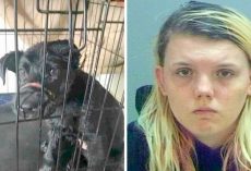 Woman Ties Puppy’s Snout For Weeks Because She “Whined” Too Much, Pup Can’t Eat Now