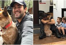 Man Reunites With His Therapy Dog After She Was Lost In The Woods For 28 Days