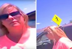 Woman Locks Her Dogs In 114F Hot Car, Cop Asks Her To Sit Locked In Same Hot Car