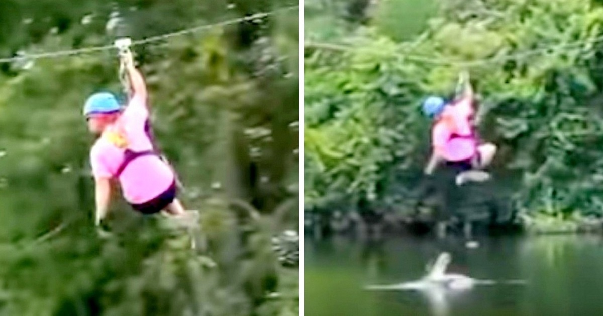 Woman Startled As Alligator Attacks Her Midway On The ZipLine, Makes