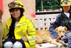 Remembering the Very Last 9/11 Hero Rescue Dog