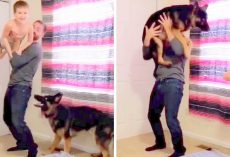 Dad Plays “The Flying Game” With Son, Then Gives Their Jealous Dog A Turn