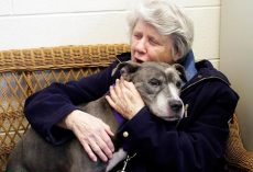 Elderly Nuns Adopt Aging Pit Bull. I’m In Tears…