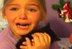 KIDS REACTIONS To Puppy And Kitten Surprise On Christmas – PRICELESS!