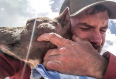 Man And His Dog Changed Each Other’s Entire Lives And Worlds