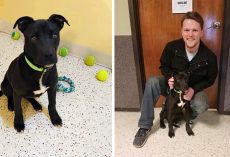 Puppy Wakes Up After Euthanasia For A Second Chance At Life