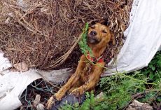 He Laid Dying & Stuck On Side Of Road But Soon His Past Would No Longer Haunt Him