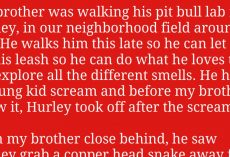 Pit Bull Runs Toward Screaming Kid And Ended Up Saving Child From A Deadly Snake