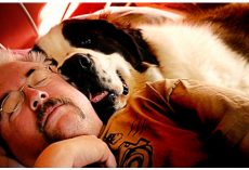 10 Of The “Most Loyal” Dog Breeds On The Planet