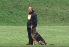 German Shepherd And Owner Displays Incredible Routine