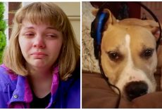 Dog-Mom Wants Answers After Cop Shoots Twice And Kills Her Pit Bull