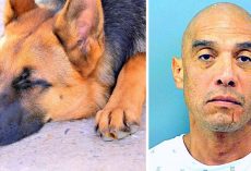 Man Ties Dog Behind His Pickup Truck & Drags Him To Death, Flees When Confronted