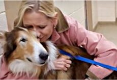 Jake Gave 16 Loyal Years To Family That Leaves Him, But Then It All Turned Around