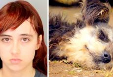 Teen Beheads Grandma’s Dog, Hides Dog’s Head In Dresser & Stuffs Heart In Freezer