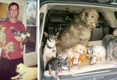 Man Devotes His Life To Adopting Old Dogs Who Can’t Find Forever Homes