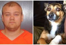 Man Gets Mad At Barking Dog So He Swings It Around And Slams It Into Coffee Table