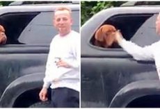 Man Vigorously Slaps Dog In Face & “Laughs”, Police Need Help Tracking Him Down