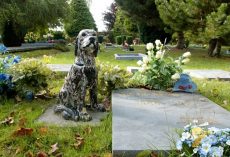 New State Law Allows Pets To Be Buried Alongside Their Humans At Cemeteries