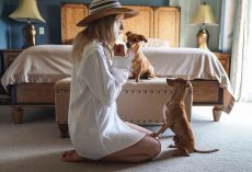 Basics of Dog Training