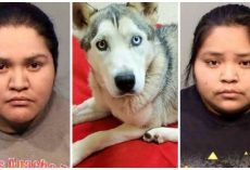 Women Lock Dog In Kennel For Days, Use Bolt Cutters & Nearly Amputate His Leg