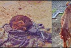 They Shackled Him To Floor Then Beat And Stone Him If He Whined For Food