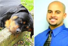 Well-Known Chiropractor Gets “Annoyed” At Barking Dog, Chases And Shoots Him 7 Times