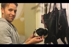 Dog Refused To Have Her Nails Clipped, Dad Invents Contraption To Solve The Problem