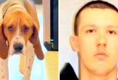 Hero Rescue Dog Saves Family’s 3 Daughters, Chases Away Serial Kidnapper At Night
