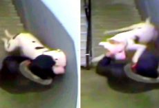 Brute Seen Punching, Kicking, Dragging & Choking His Dog, Dog Urinates In Fear