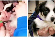 They Held Her Against Her Will And Smoked Off Scared Pup’s Paw