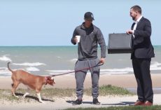 Man Offers Strangers $100,000 In Exchange For Their Dogs In Social Experiment