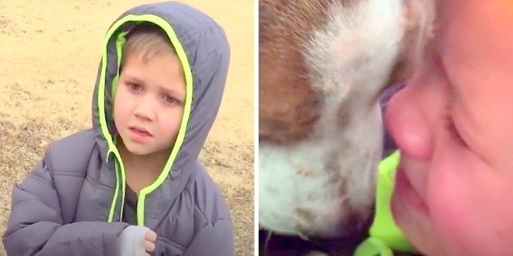 Little Boy's Dog Has Been Missing For A Month, When Mom Calls Her Son Over