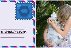 A Letter To My Puppy In Heaven