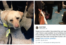 Blind Man Attaches GoPro Camera To Guide Dog, Films ‘Insensitive Abuse’ They Face Daily