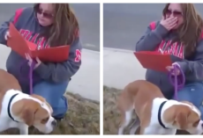 Family Rejects Dog On Adoption Day, Foster Mom Realized She’s Been ‘Set Up’