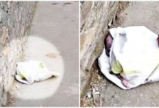 He Walked Home From Overnight Job & A Shriek Came From Dingy Plastic Bag