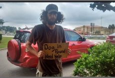 Homeless Man Stands Outside Walmart Pleading For Help For His Dog And Woman Came To His Rescue