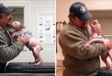 Man Returns To Adopt The Dog He Rescued, And The Pup Couldn’t Be Happier