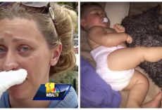 Mom Can’t Reach 8-Month-Old Baby Caught In Fire With Puppy, Dog Sacrifices Himself To Save Her