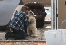 Dog And Owner Take A Moment After Tornado Tears Down Their Home