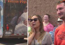 Couple Adopts Dog Without Meeting Them First & Then A Rescue Truck Pulls Up & Trailer Door Opened