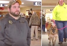 Army Veteran Nervously Awaits Reunion With Military Dog, Moment Caught On Live TV