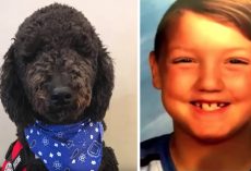 Woman Gets Rid Of Autistic Boy’s Service Dog, Then Kid Goes Missing Days Later