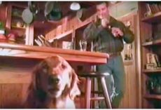 Budweiser Ad Stars A ‘Talking Dog’ Who Comically Explains Why He Gives Owner Beer